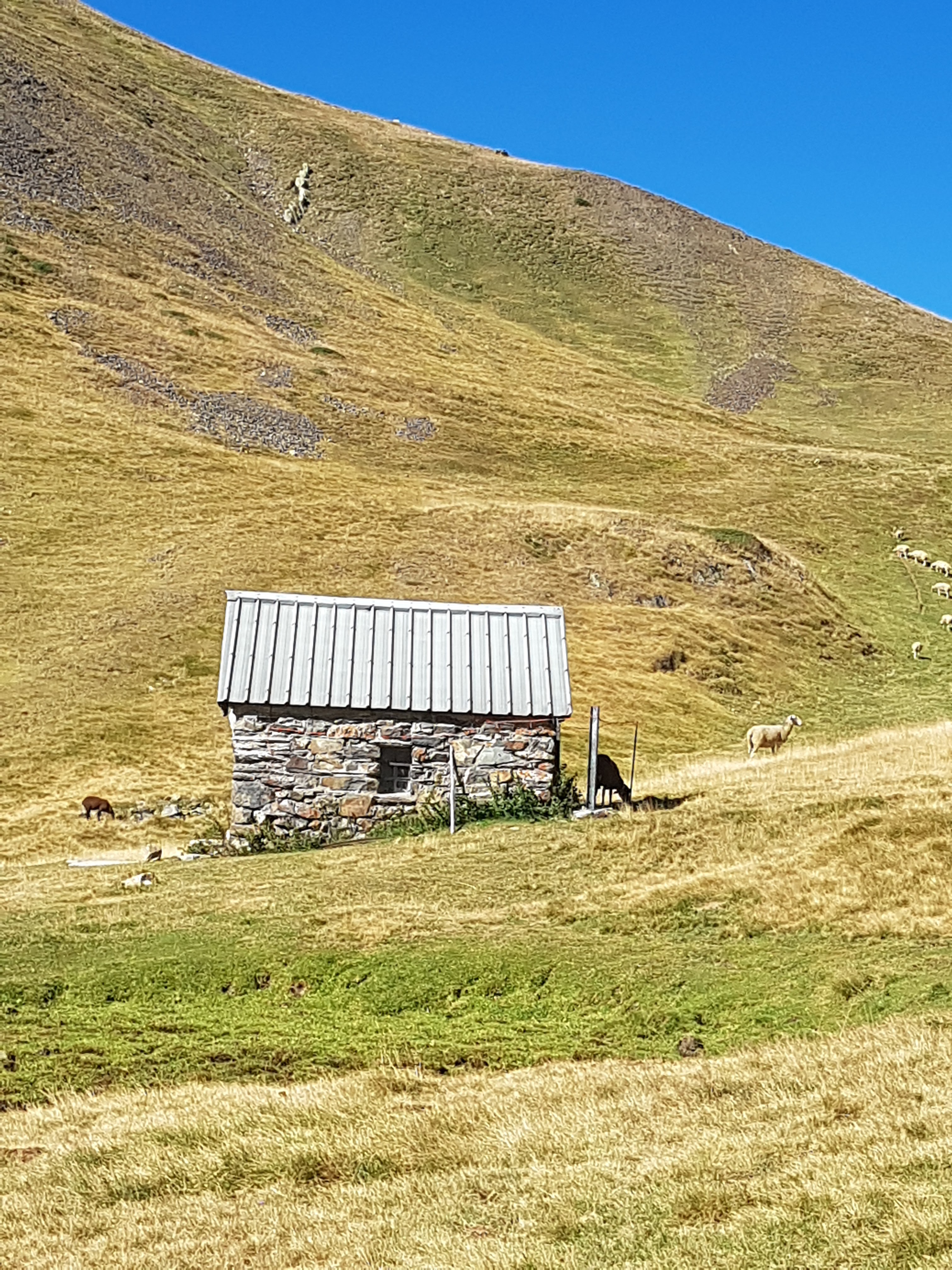 Photo n° 1 de l'avis de S-E.u fait le 19/08/2020 à 17:49