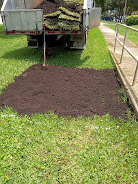 🌞 sunrise lawn care Tree service