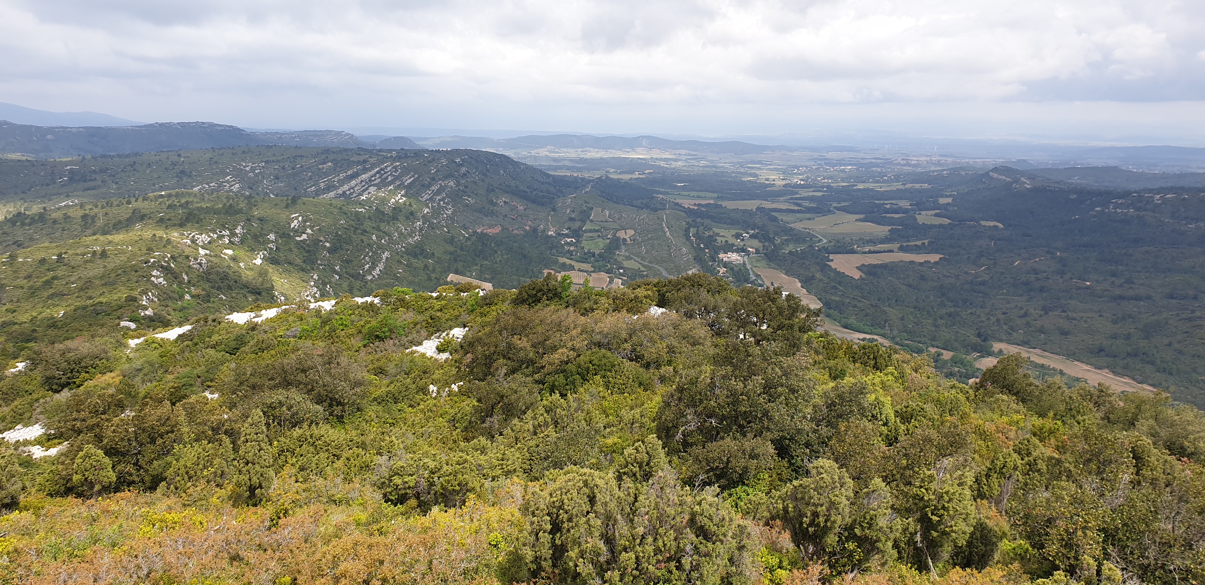 Photo n° 1 de l'avis de Le.o fait le 06/05/2019 à 05:10