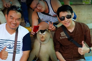 Chiang Mai Monkey Centre image