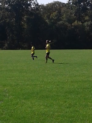 Milot Field - photo 17