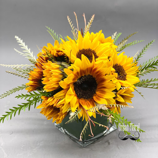 Florist «Urban Floral», reviews and photos, 671 Meriden Rd, Waterbury, CT 06705, USA