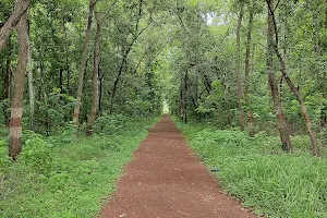 Wetland Biodiversity Park, Bhilai image