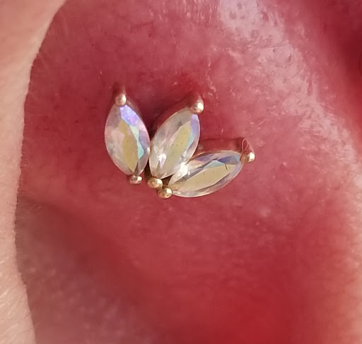 Explore still i rise tattoo ideas, creative tattoo ideas in Garden Grove, available at CM Hurt Piercing & Jewelry