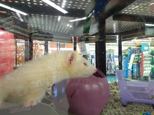 Pet Supply Store «Petco Animal Supplies», reviews and photos, 10 Waterfront Pl, Port Chester, NY 10573, USA