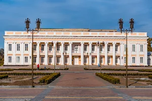 Potocki Palace image