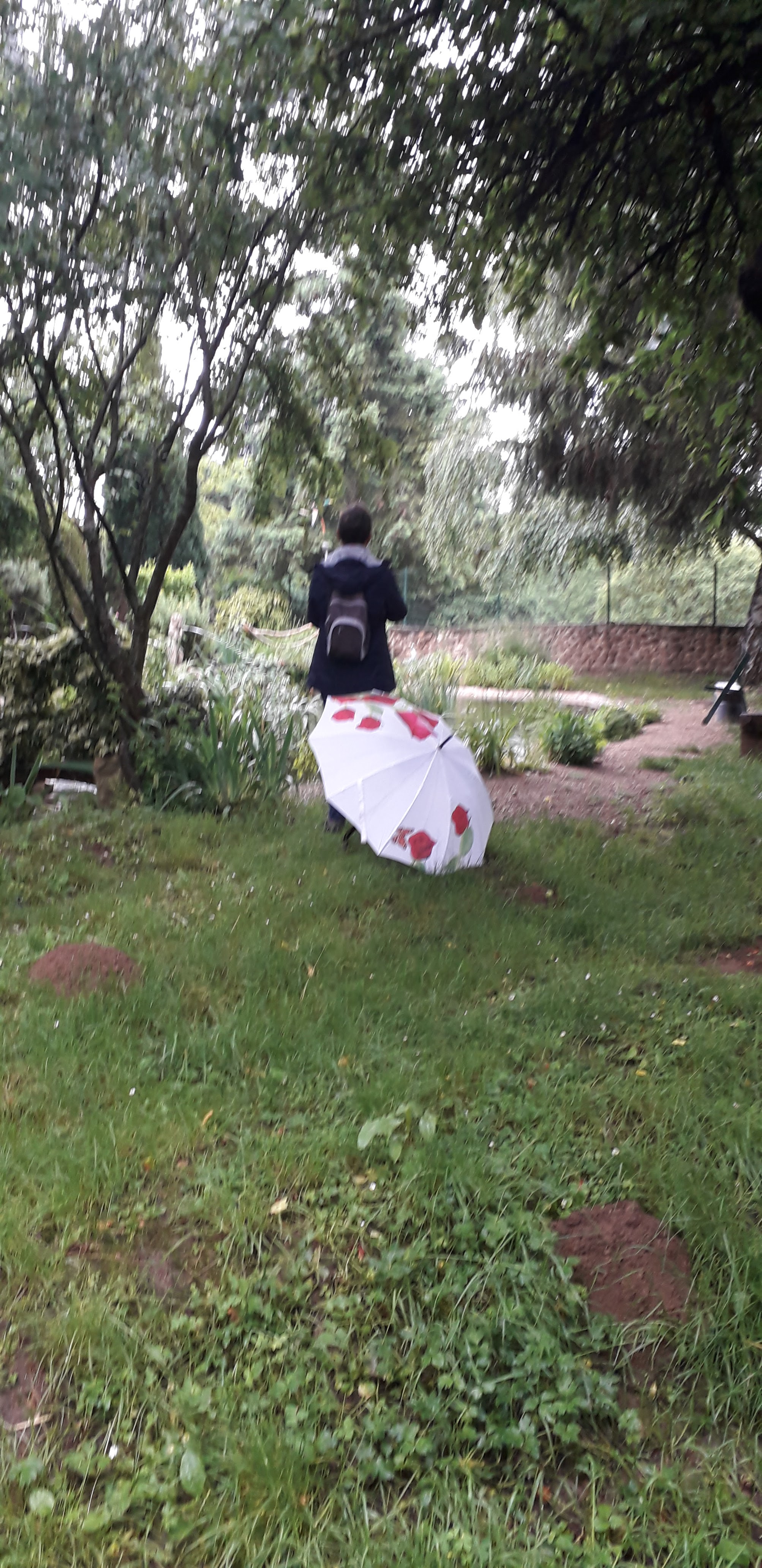 Photo n° 1 de l'avis de juan.e fait le 14/06/2019 à 10:45