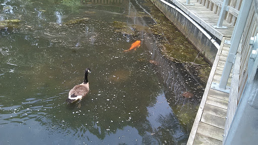 Caterer «Lakeside Manor», reviews and photos, 10 Foster Ave, Gibbsboro, NJ 08026, USA