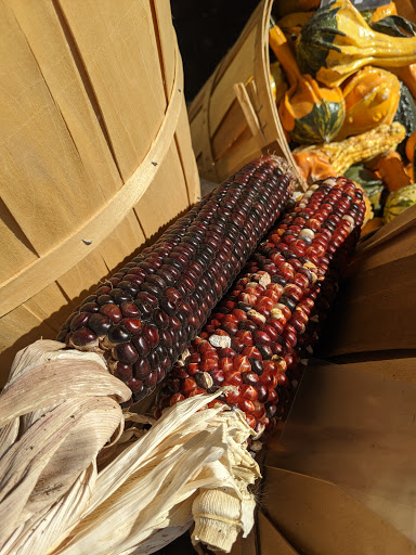 Grocery Store «Safeway», reviews and photos, 4548 Centerplace Dr, Greeley, CO 80632, USA