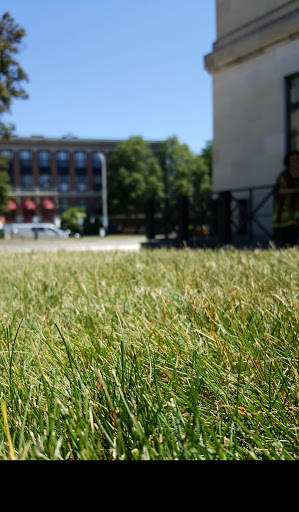 Art Museum «Worcester Art Museum», reviews and photos, 55 Salisbury St, Worcester, MA 01609, USA