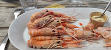 Langoustine du Restaurant de fruits de mer Les Viviers de Keraliou Restaurant et vente au détail à Plougastel-Daoulas - n°11