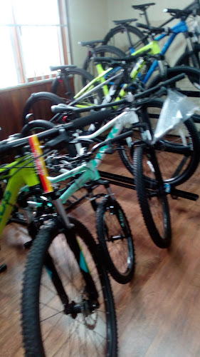 Opiniones de Trail Sport en Temuco - Tienda de bicicletas