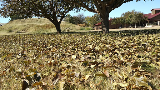 Museum «National Ranching Heritage Center», reviews and photos, 3121 4th St, Lubbock, TX 79409, USA