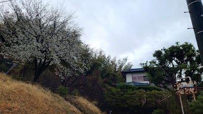 王禅寺西第２公園
