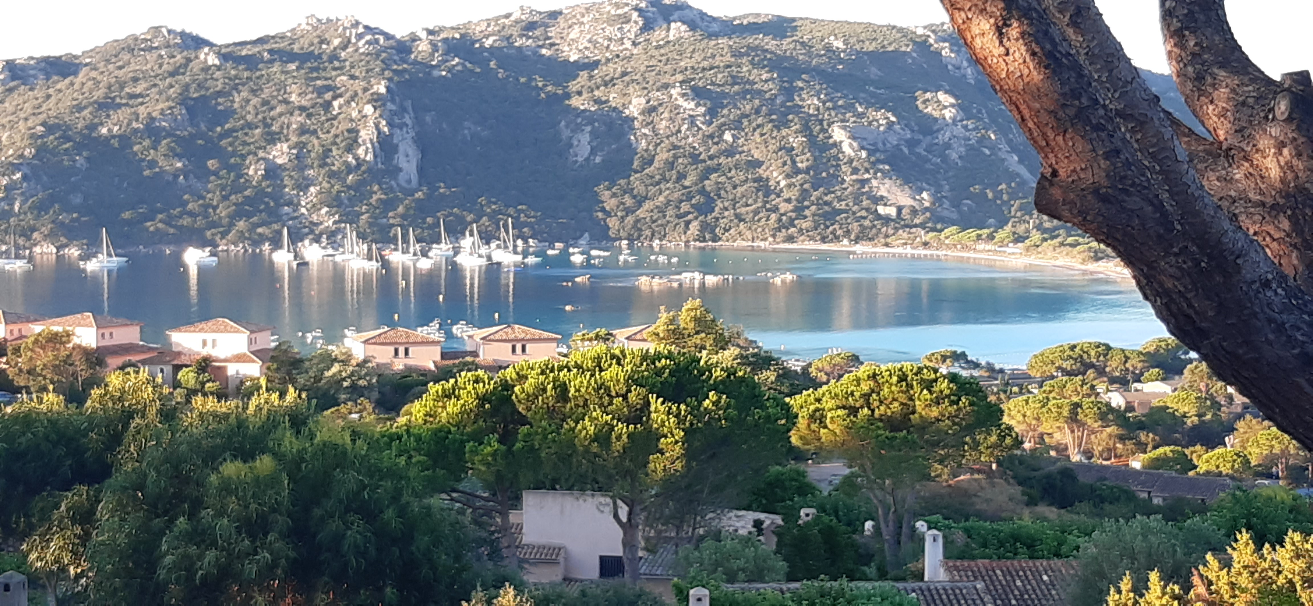 Photo n° 1 de l'avis de FRANCK.E fait le 26/08/2020 à 06:29
