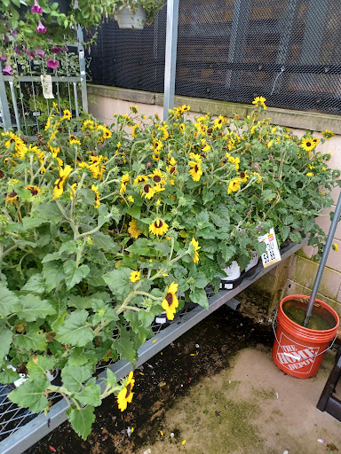 Home Improvement Store «The Home Depot», reviews and photos, 1624 E 165th St, Hammond, IN 46320, USA