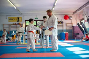 Accademia Karate Shotokan image