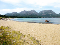 Photo de Cooks Beach avec un niveau de propreté de très propre