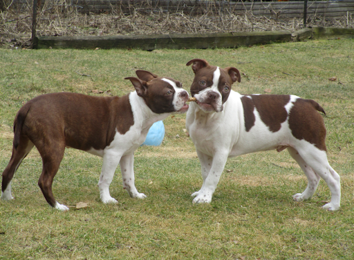 Home Improvement Store «The Home Depot», reviews and photos, 99 Sutton Ave, Oxford, MA 01540, USA