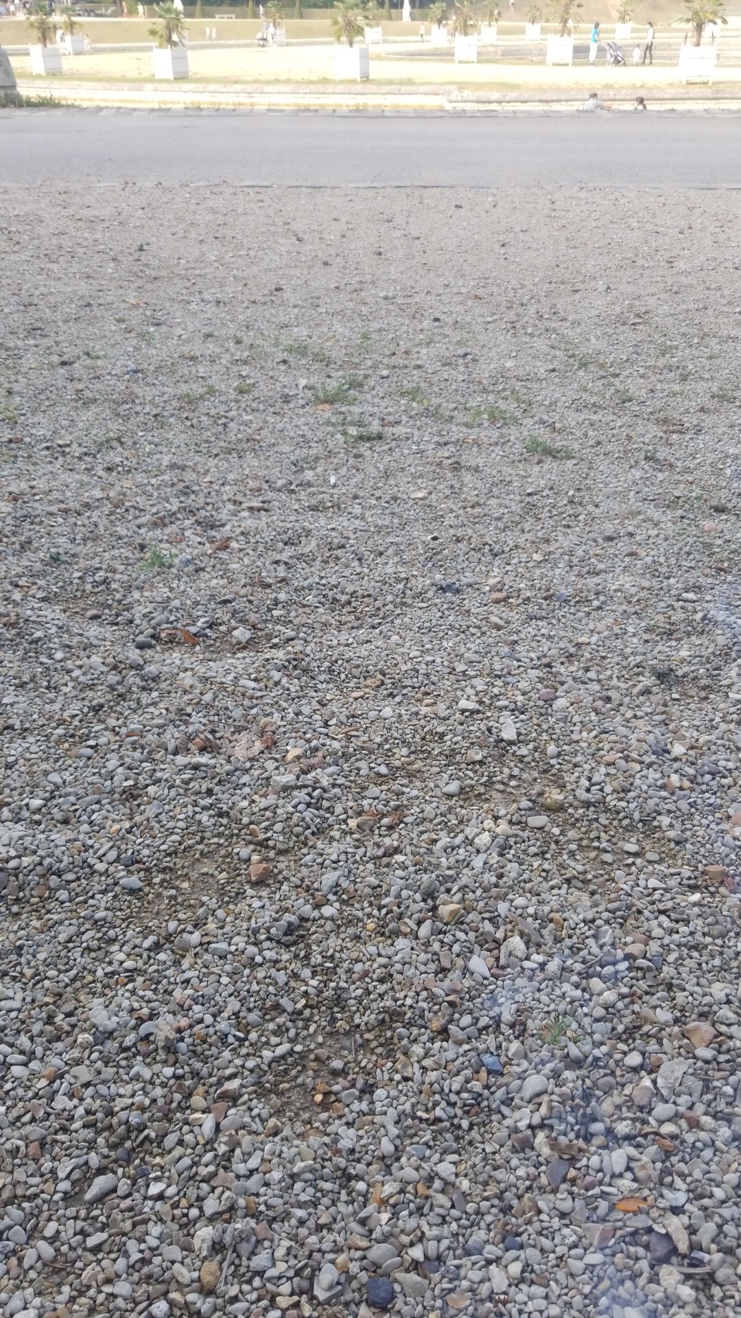 Photo n° 6 de l'avis de dary. fait le 20/09/2020 à 15:00