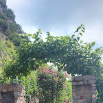 Photo n°9 de l'avis de A. fait le 17/08/2021 à 12:44 sur le  Hotel-Fritz à Valwig