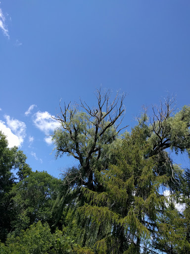 Public Golf Course «Hansen Park Golf Course», reviews and photos, 9800 Underwood Pkwy, Wauwatosa, WI 53226, USA