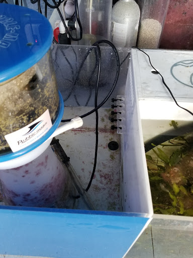 Aquarium Shop «Sea Creature Aquarium», reviews and photos, 1455 Mineral Spring Ave, North Providence, RI 02904, USA