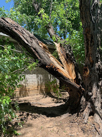 Budding Green Property Services - Photo 5 - Car repair in , Lubbock