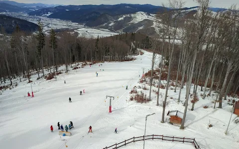 Șoimul ski slope image