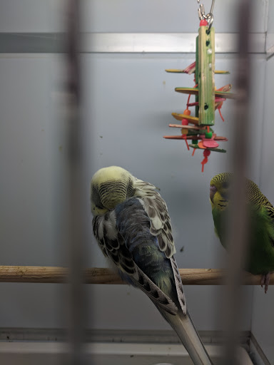 Pet Supply Store «Pet Supplies Plus», reviews and photos, 1240 Seminole Trail, Charlottesville, VA 22901, USA