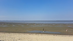 Delfzijl Beach'in fotoğrafı çok temiz temizlik seviyesi ile