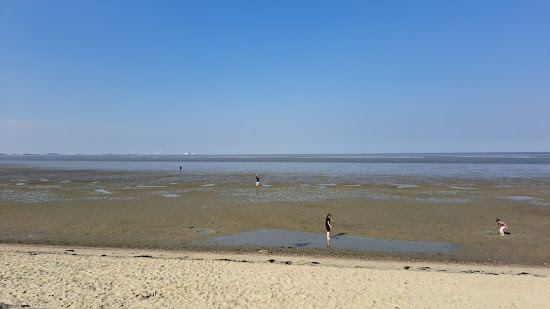 Delfzijl Beach