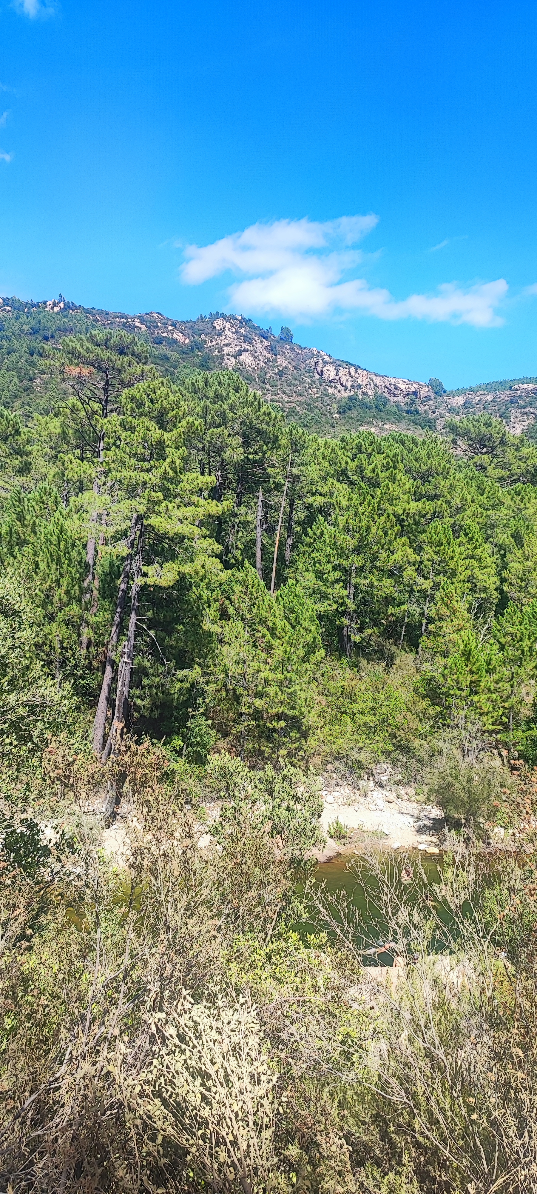 Photo n° 15 de l'avis de Aurelien.i fait le 17/08/2023 à 19:47