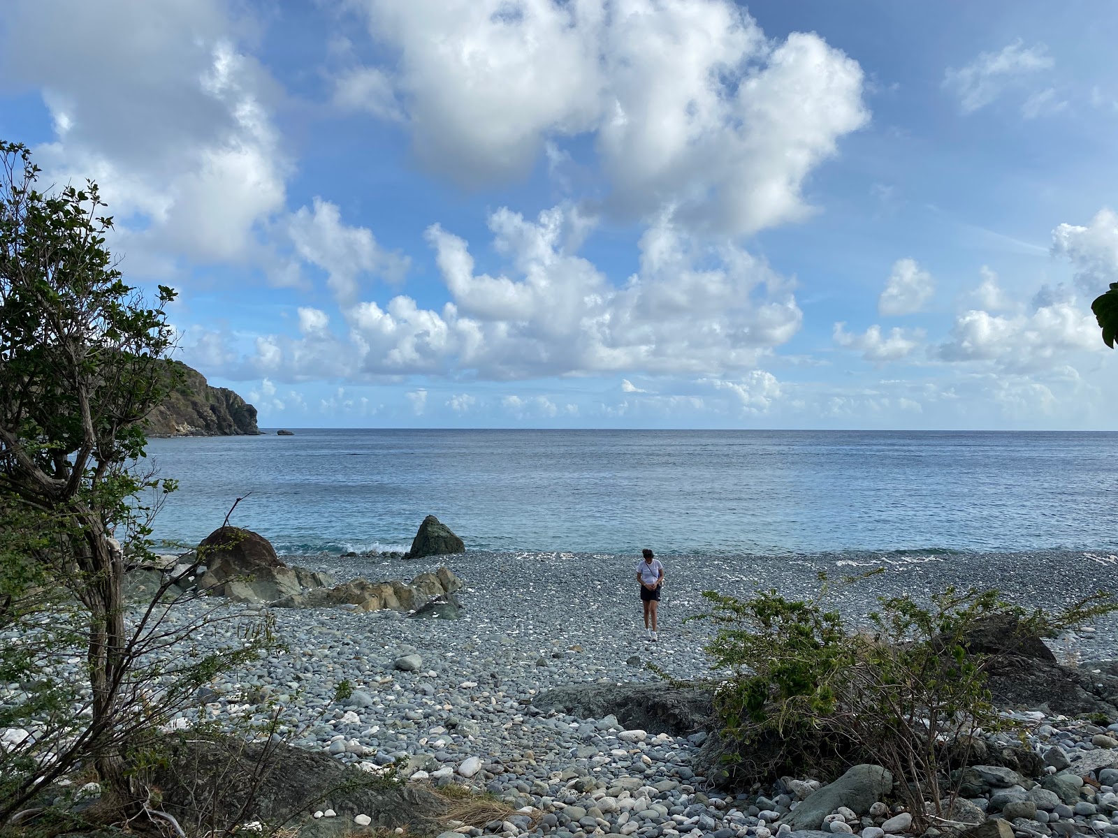 Foto de Blue Cobblestone beach área selvagem