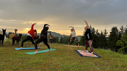 Alpaka Yoga Appenzell Urnäsch