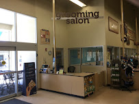 Petco - Photo 2 - Car repair in Mt Pleasant, SC, Charleston