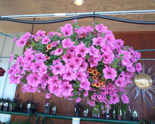 Home Improvement Store «Duvall True Value Hardware», reviews and photos, 15320 Brown Ave NE, Duvall, WA 98019, USA