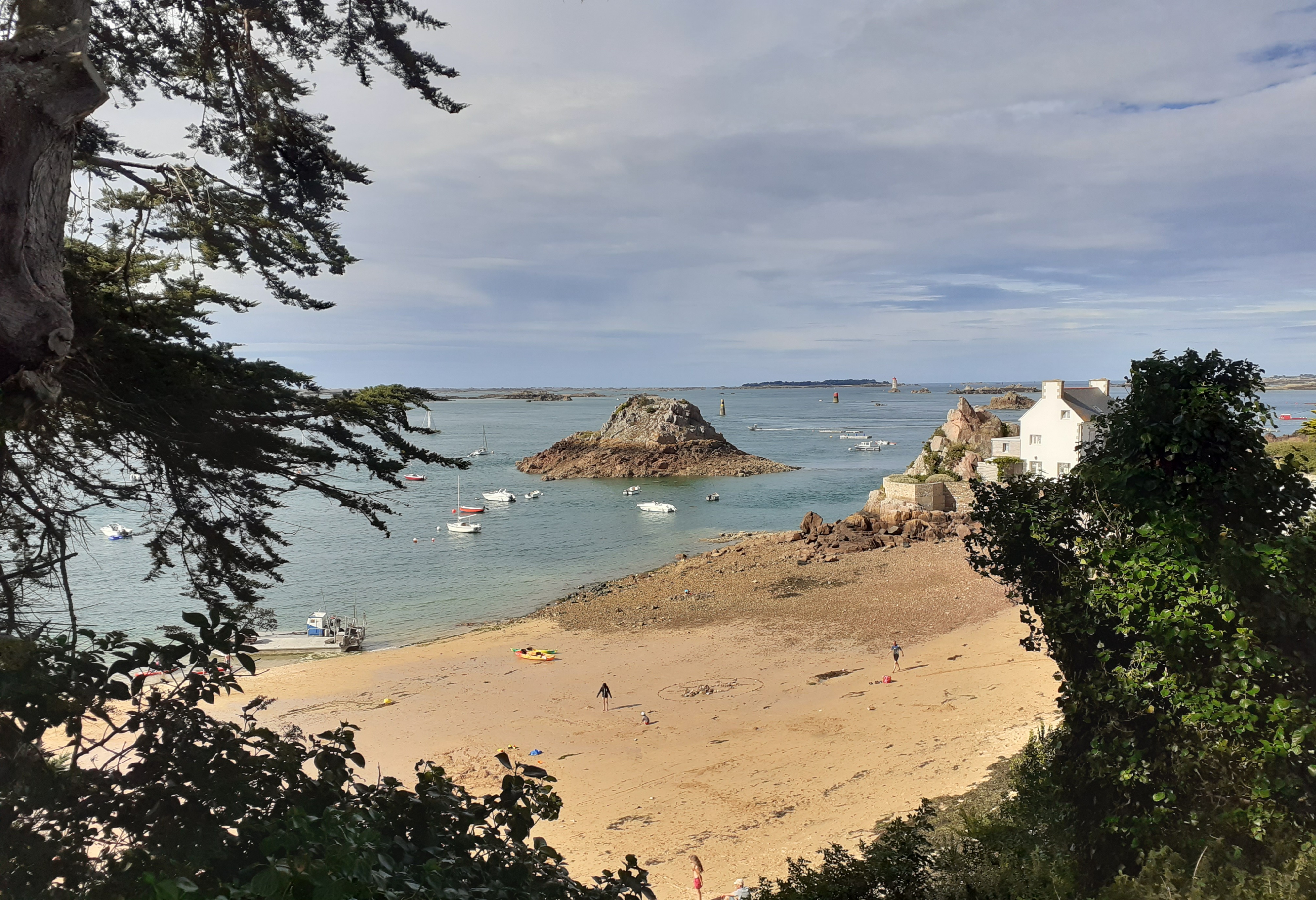 Photo n° 6 de l'avis de Amandine.e fait le 21/07/2020 à 18:38