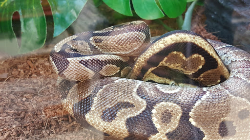 Pet Supply Store «Petco Animal Supplies», reviews and photos, 3380 124th Ave NW, Coon Rapids, MN 55433, USA