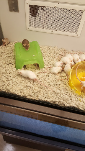 Pet Supply Store «Petco Animal Supplies», reviews and photos, 2250 Petrie Ln #518, Lanham, MD 20706, USA