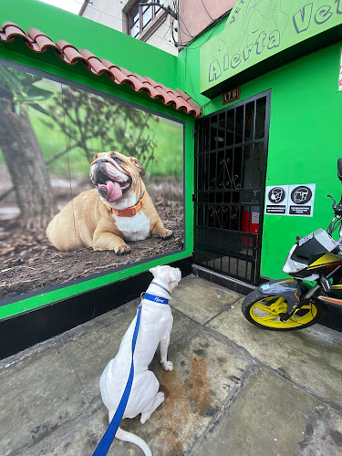 Alerta Vet - Pueblo Libre