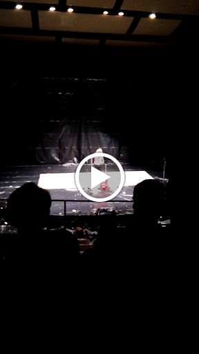 Performing Arts Theater «DeYor Performing Arts Center», reviews and photos, 260 W Federal St, Youngstown, OH 44503, USA