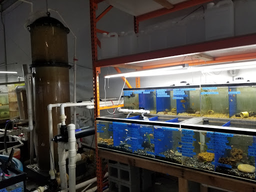 Tropical Fish Store «The Fish Store», reviews and photos, 2050 Chamblee Tucker Rd, Chamblee, GA 30341, USA