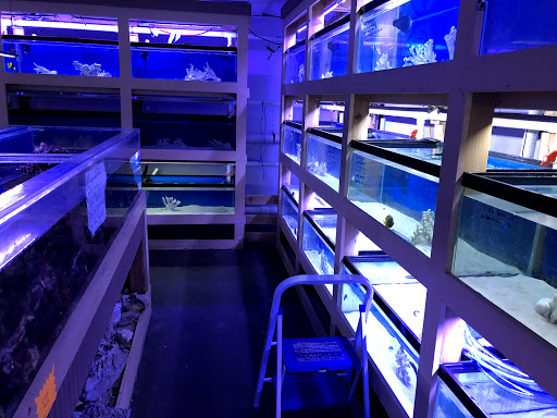 Aquarium «Jays Aquatics», reviews and photos, 10 Lawrence Rd, Salem, NH 03079, USA