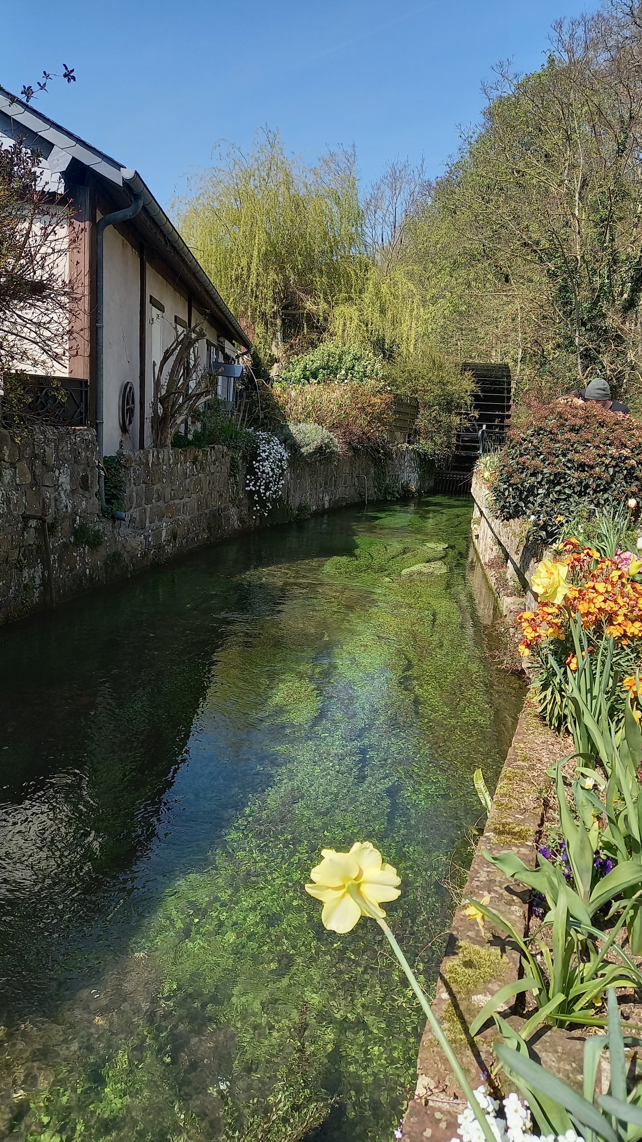 Photo n° 2 de l'avis de Hélène.e fait le 15/04/2023 à 20:38