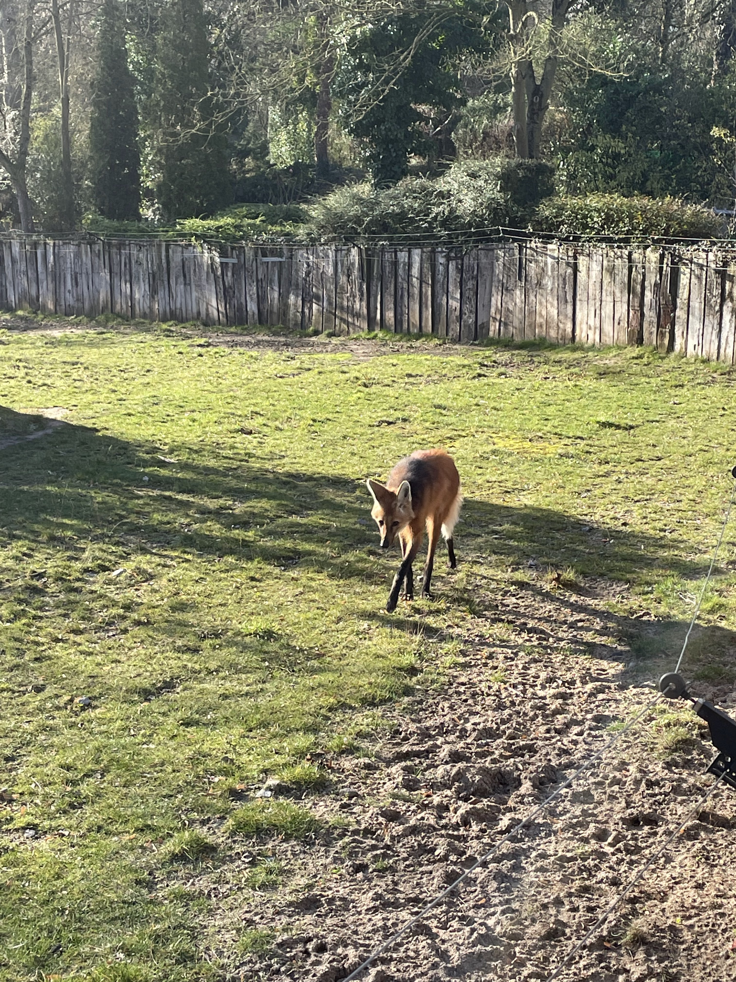 Photo n° 2 de l'avis de Valentine.t fait le 07/02/2022 à 20:13