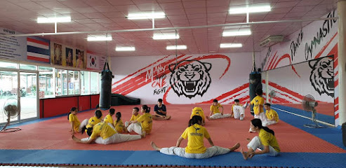 Heroes Teakwondo Town In Town