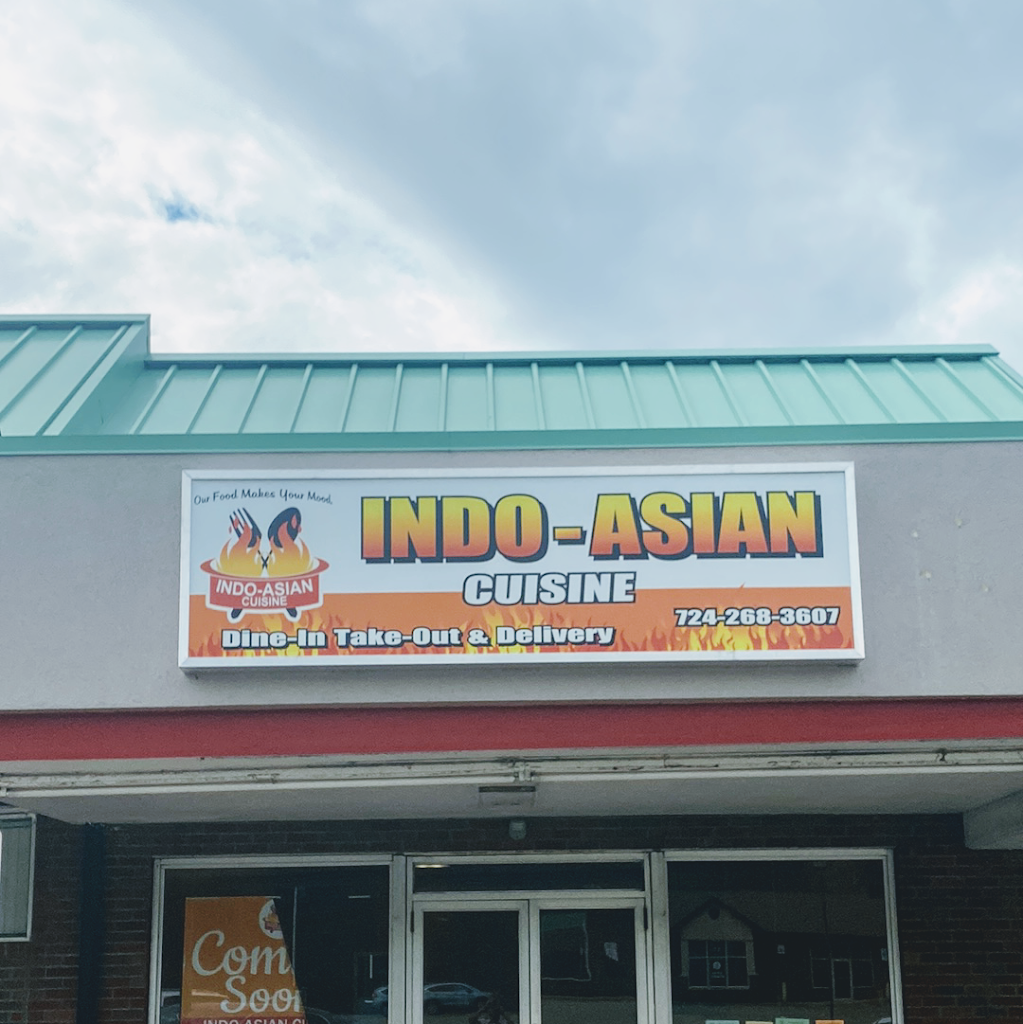 Indo Asian Cuisine 15012