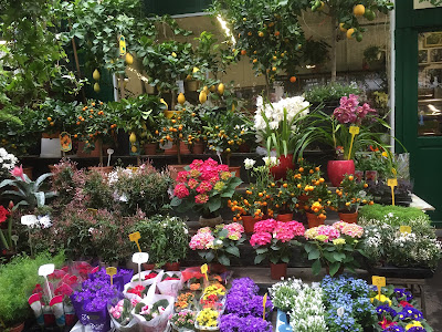 La Cité des Fleurs à Paris
