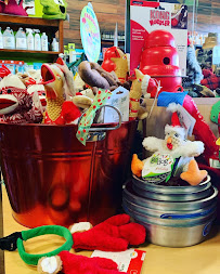 The Tailgait Market - Photo 3 - Car repair in Asheville, NC, Asheville